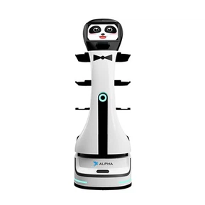 Panda delivery robot
