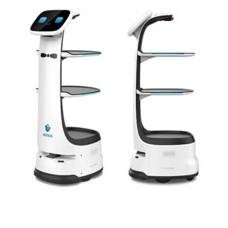 Delivery robot T8