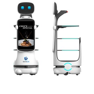 Delivery robot T10